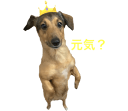 expressive Nuts sticker #14549695