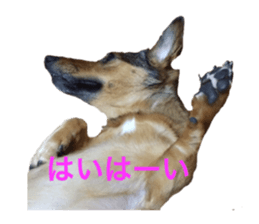 expressive Nuts sticker #14549710