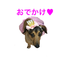 expressive Nuts sticker #14549713