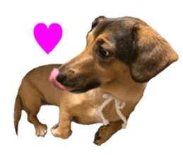 expressive Nuts sticker #14549715