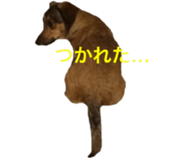 expressive Nuts sticker #14549725