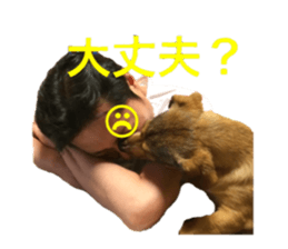 expressive Nuts sticker #14549732