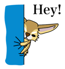 Don't ignore Fennec yupa-taro English sticker #14550403