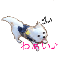 Mare sticker #14551966