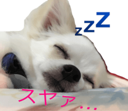 Mare sticker #14551967