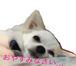 Mare sticker #14551968