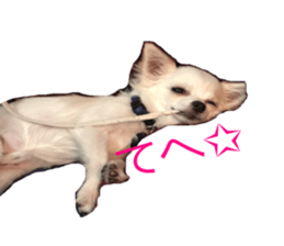 Mare sticker #14551969