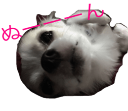 Mare sticker #14551971