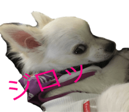 Mare sticker #14551972