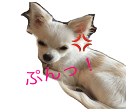 Mare sticker #14551973