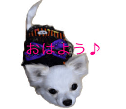 Mare sticker #14551974