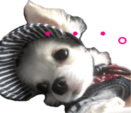 Mare sticker #14551975