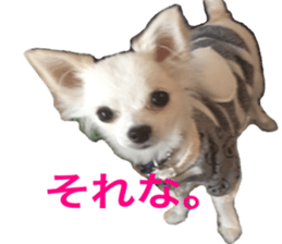 Mare sticker #14551977