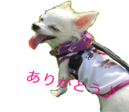 Mare sticker #14551978