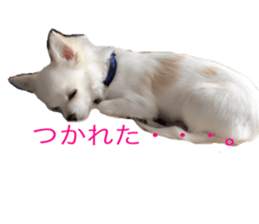 Mare sticker #14551979