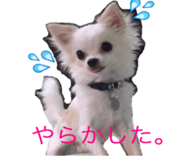 Mare sticker #14551980