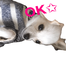 Mare sticker #14551981