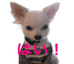 Mare sticker #14551982