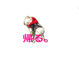 Mare sticker #14551983