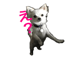 Mare sticker #14551985