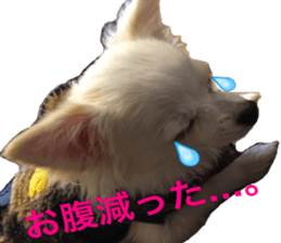 Mare sticker #14551986