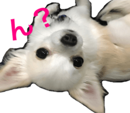 Mare sticker #14551987