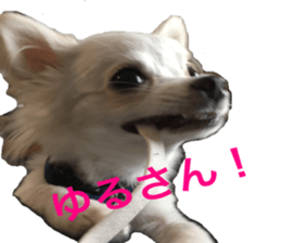 Mare sticker #14551988