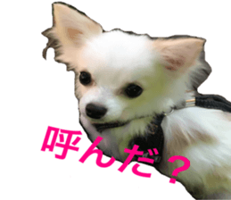 Mare sticker #14551989