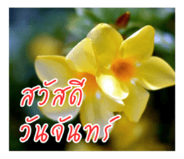 good luck for you sticker #14552654