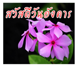 good luck for you sticker #14552655