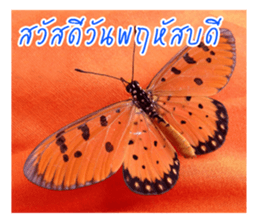 good luck for you sticker #14552657