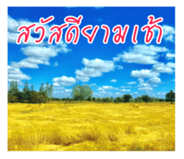 good luck for you sticker #14552662