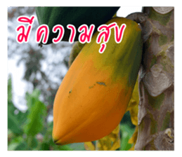 good luck for you sticker #14552664