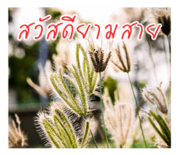 good luck for you sticker #14552665