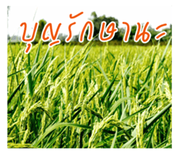 good luck for you sticker #14552669