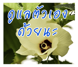 good luck for you sticker #14552672