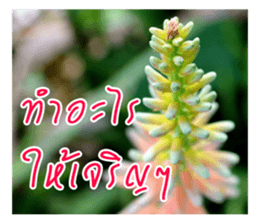 good luck for you sticker #14552675