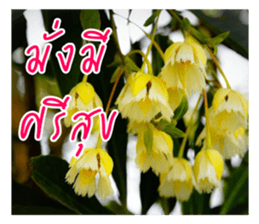 good luck for you sticker #14552676