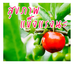 good luck for you sticker #14552677