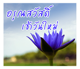 good luck for you sticker #14552679