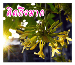 good luck for you sticker #14552681