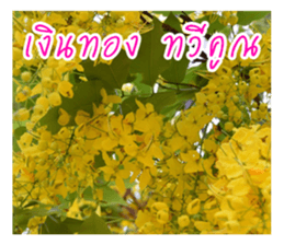 good luck for you sticker #14552682