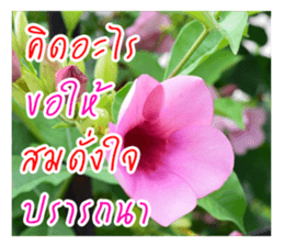 good luck for you sticker #14552683