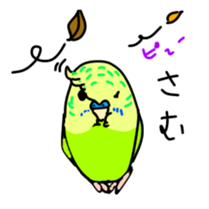 Normal and English Budgies sticker #14553618