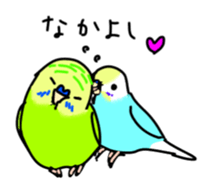 Normal and English Budgies sticker #14553621