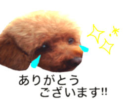 Coco&Maru sticker #14554698