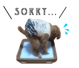 Coco&Maru sticker #14554699