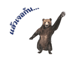 Grizzly Bear for Chat sticker #14555207