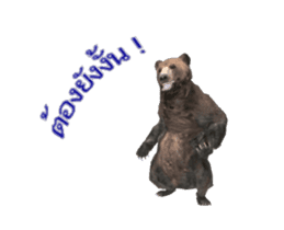 Grizzly Bear for Chat sticker #14555208