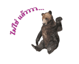 Grizzly Bear for Chat sticker #14555209